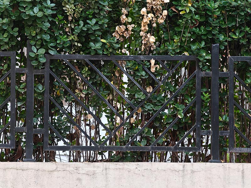 铁艺护栏